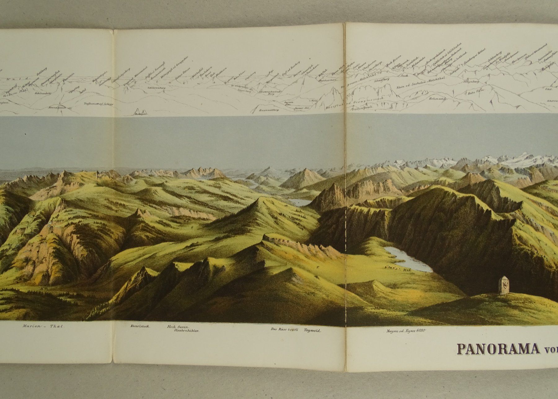 Libri: PANORAMA VOM BRIENZER-ROTHORN – Usato da Grüningen venduto da Kartensammler 1