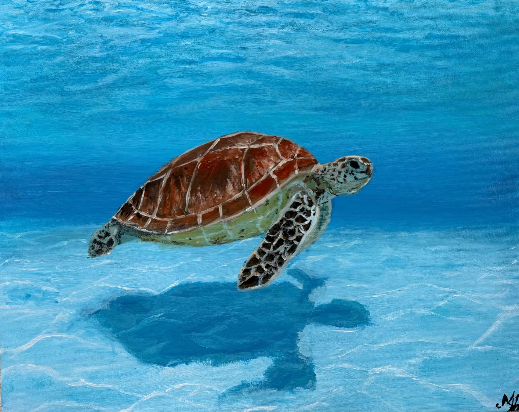 Dipinti: Gemälde "Schildkröte im Meer" - 40x50cm – Nuovo e nell'imballaggio originale da Pfäffikon SZ venduto da Andrei_Moro_Kunst