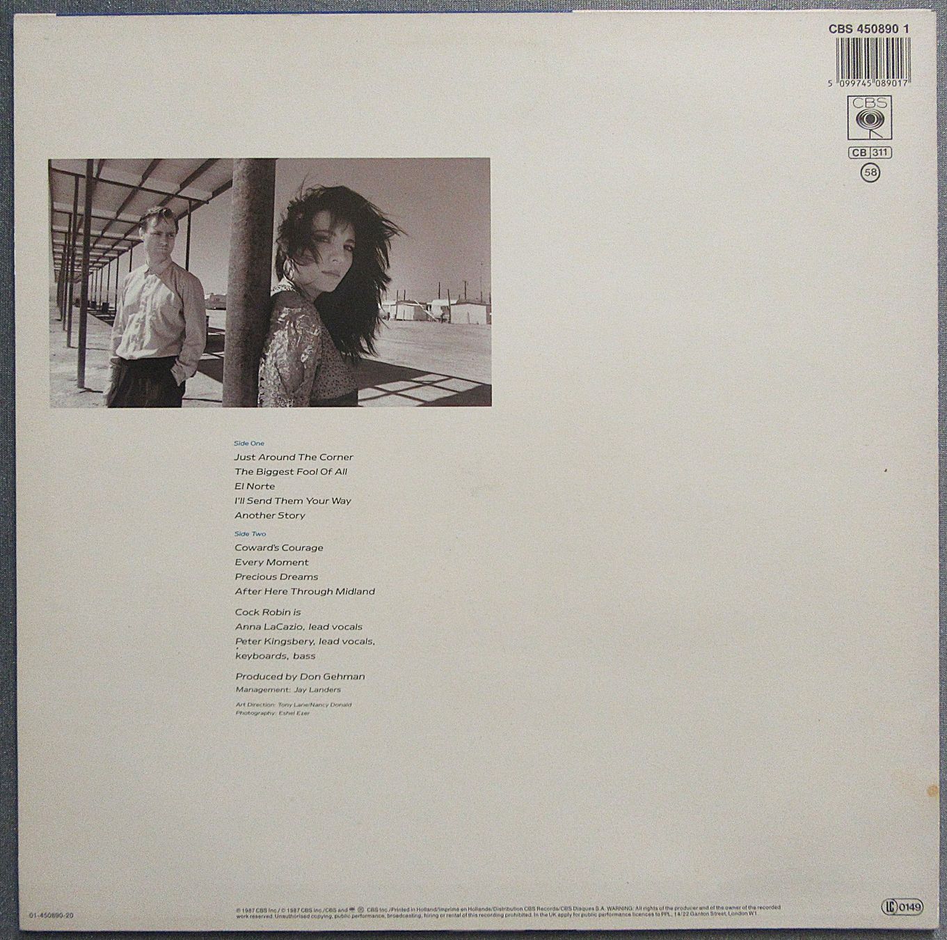 Dischi in vinile: Cock Robin - After Here Through Midland - LP ab CHF 4.00 – Usato da Auenstein venduto da Padabimbim 1