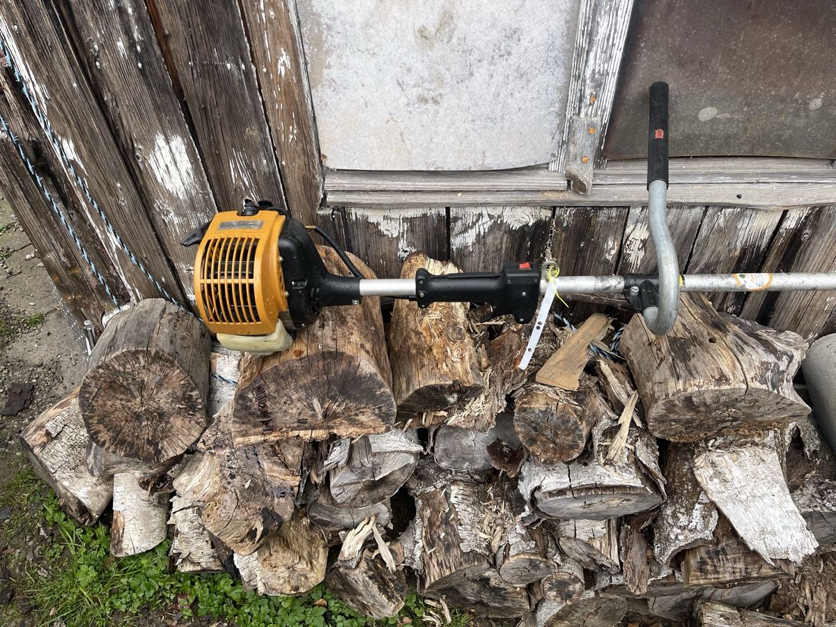 Tagliaerba: Gebrauchter Rasentrimmer – Usato da Bern venduto da SVTools 3