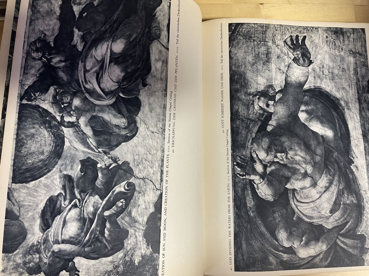Libri: Michelangelo - Vollständige Ausgabe, Goldscheider – Usato da Wyssachen venduto da Hahe89 4
