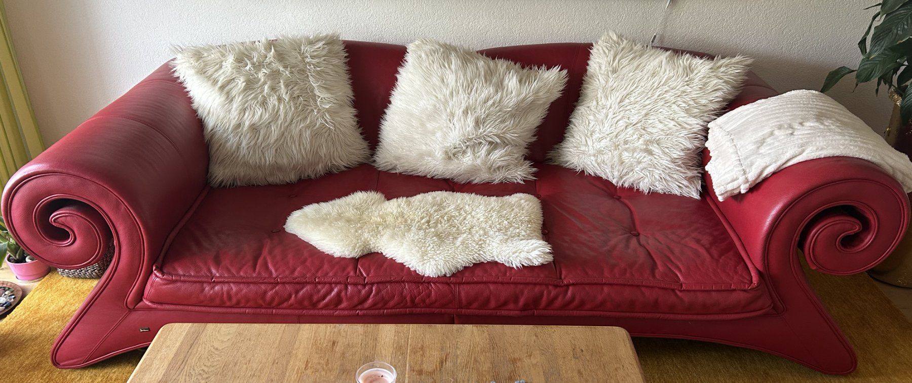Bretz Divani: BRETZ Mammut Design Sofa – Usato da Lätti venduto da Haldihauser