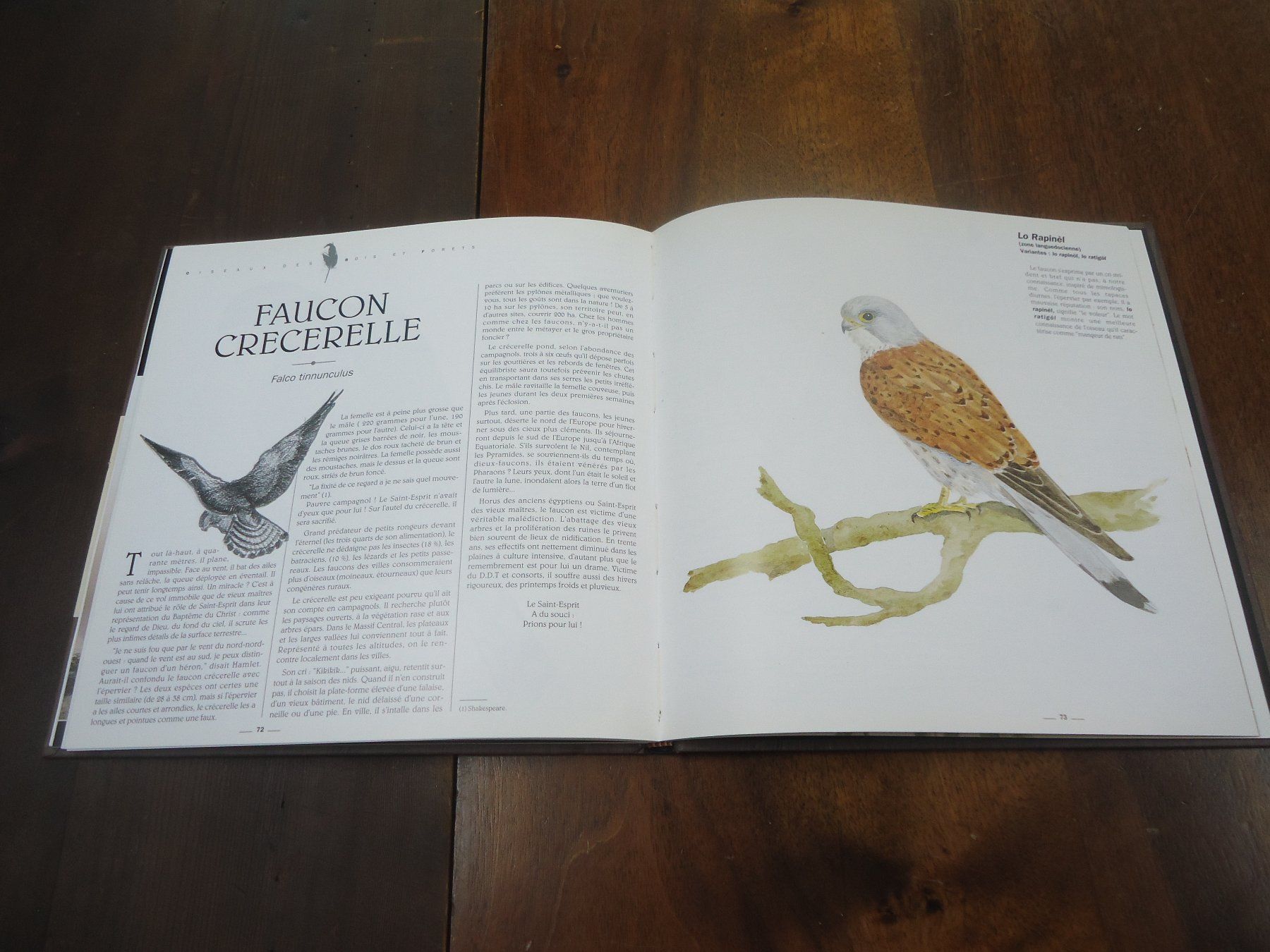 Libri: Paroles d'oiseaux – Usato da Vessy venduto da mafabe 3