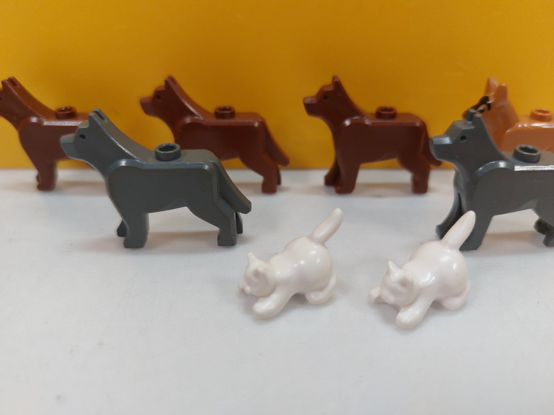 Lego Kit di costruzioni: LEGO System / City - 6 Hunde und 2 Katzen – Usato da St.Gallen venduto da TinasBauundSpiel 1