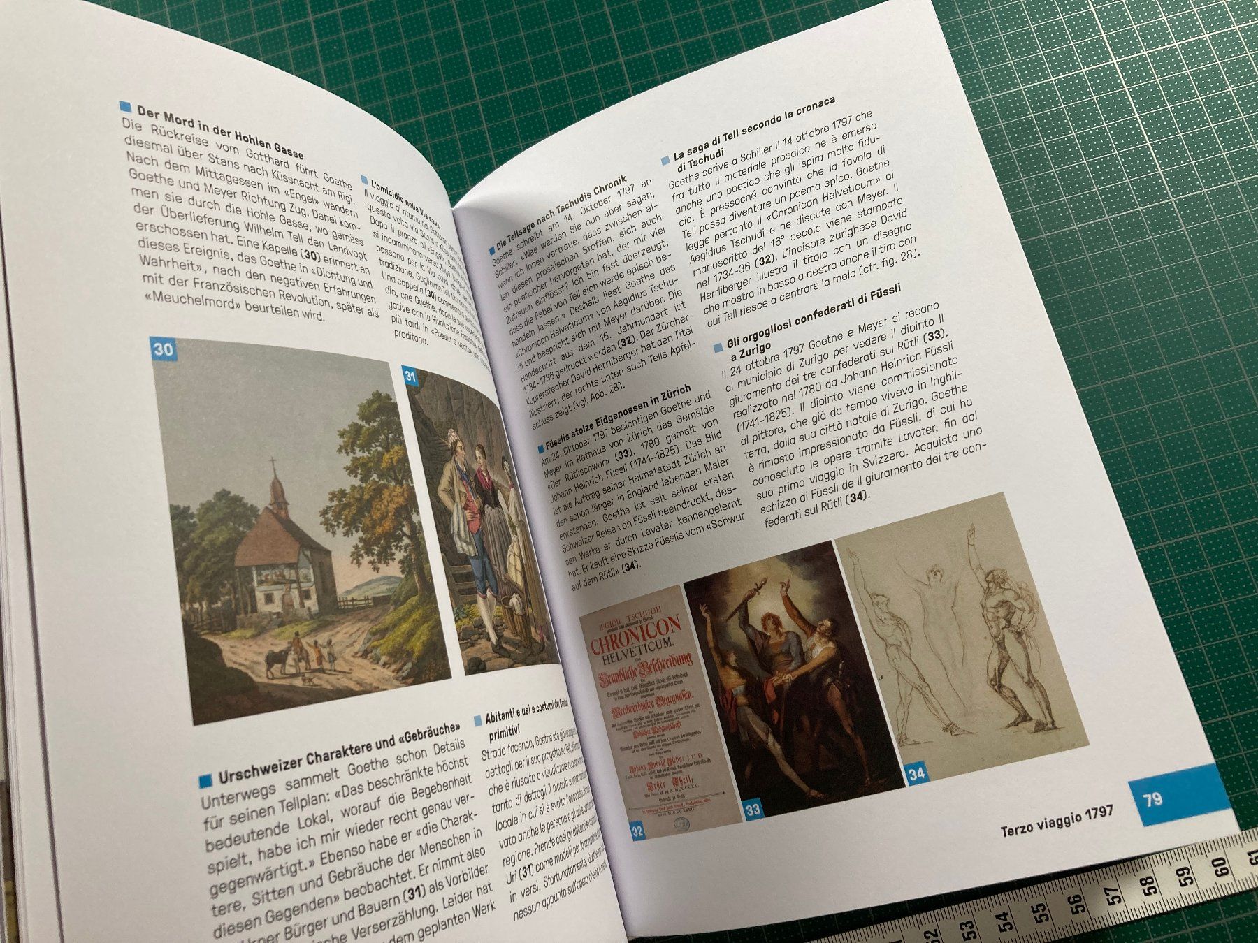 Bücher: Goethe am Gotthard - Museo Sasso San Gottardo – Gebraucht aus Lenzburg von fh1 8