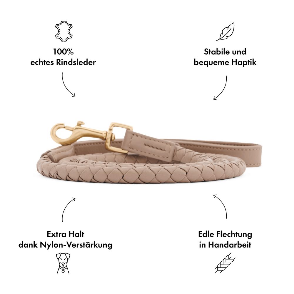Guinzagli & Collari: Collier et laisse pour chien William Walker – Nuovo e nell'imballaggio originale da Sierre venduto da Dorianex6 9