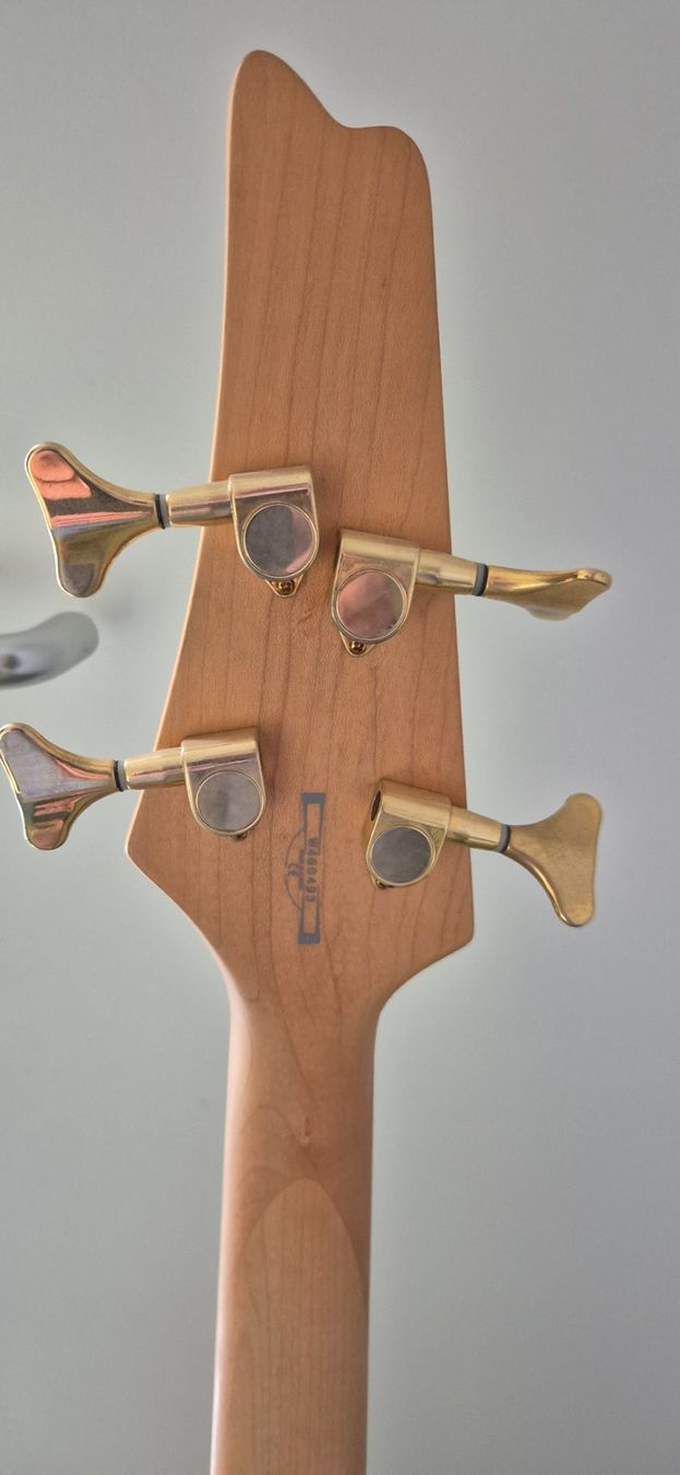 Ibanez Strumenti musicali: Ibanez Iceman Bassgitarre – Usato da Seon venduto da Massacra 5