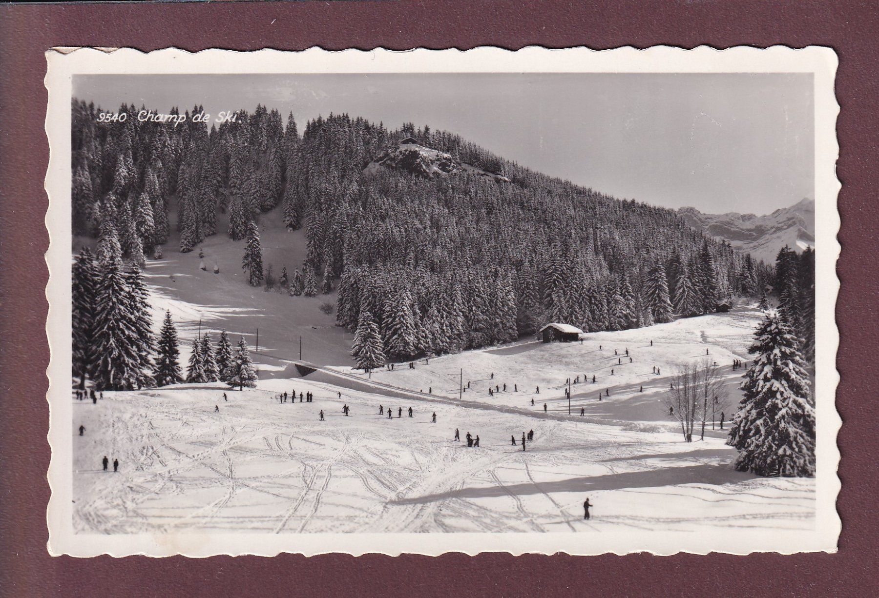 Cartes postales: Champ de SKI – D'occasion à Pully par nicecards