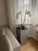 BLUMENTOPF  pflanze Topf PAST M USM LIEFERUNG GRATIS