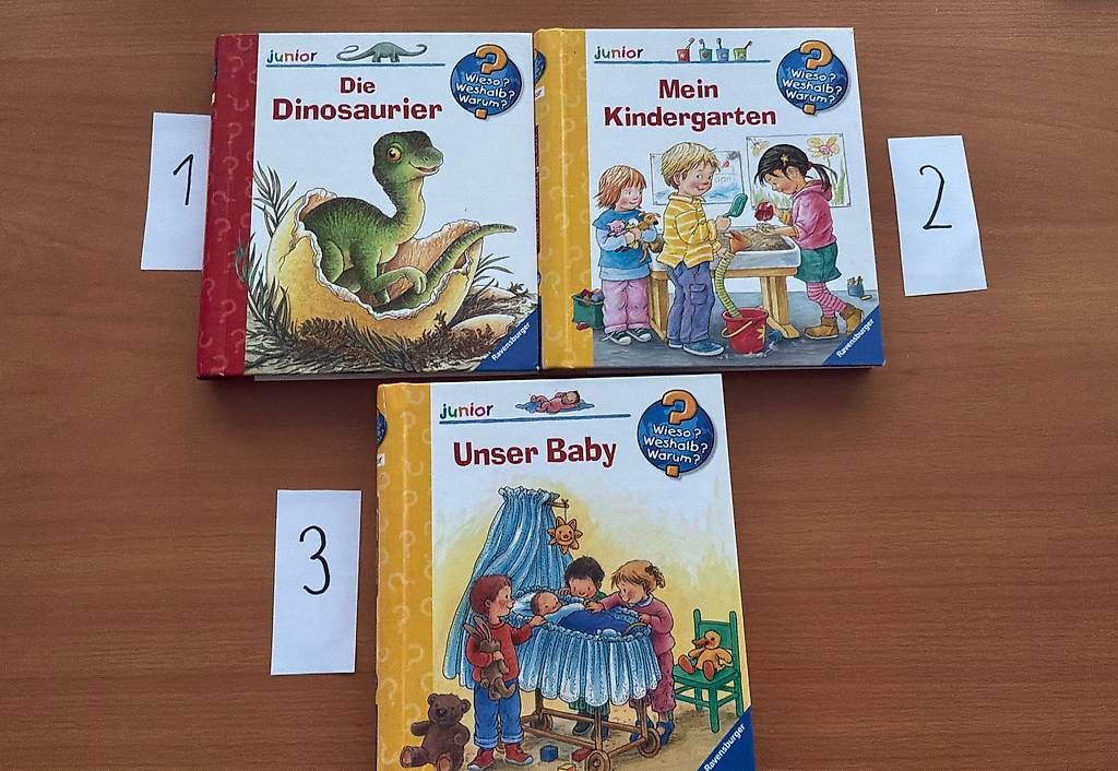 Libri: Kinderbücher Wieso? Weshalb? Warum? Junior – Usato da St. Gallen venduto da petergyoergy