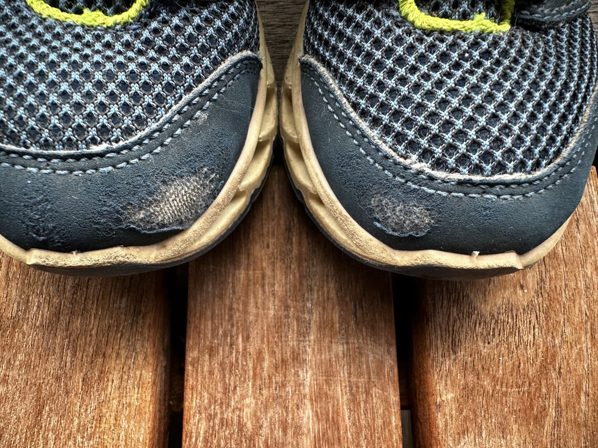 Primigi Scarpe per ragazzi: Primigi Turnschuhe Gr. 29 – Usato da Oberstammheim venduto da credible-girl 2