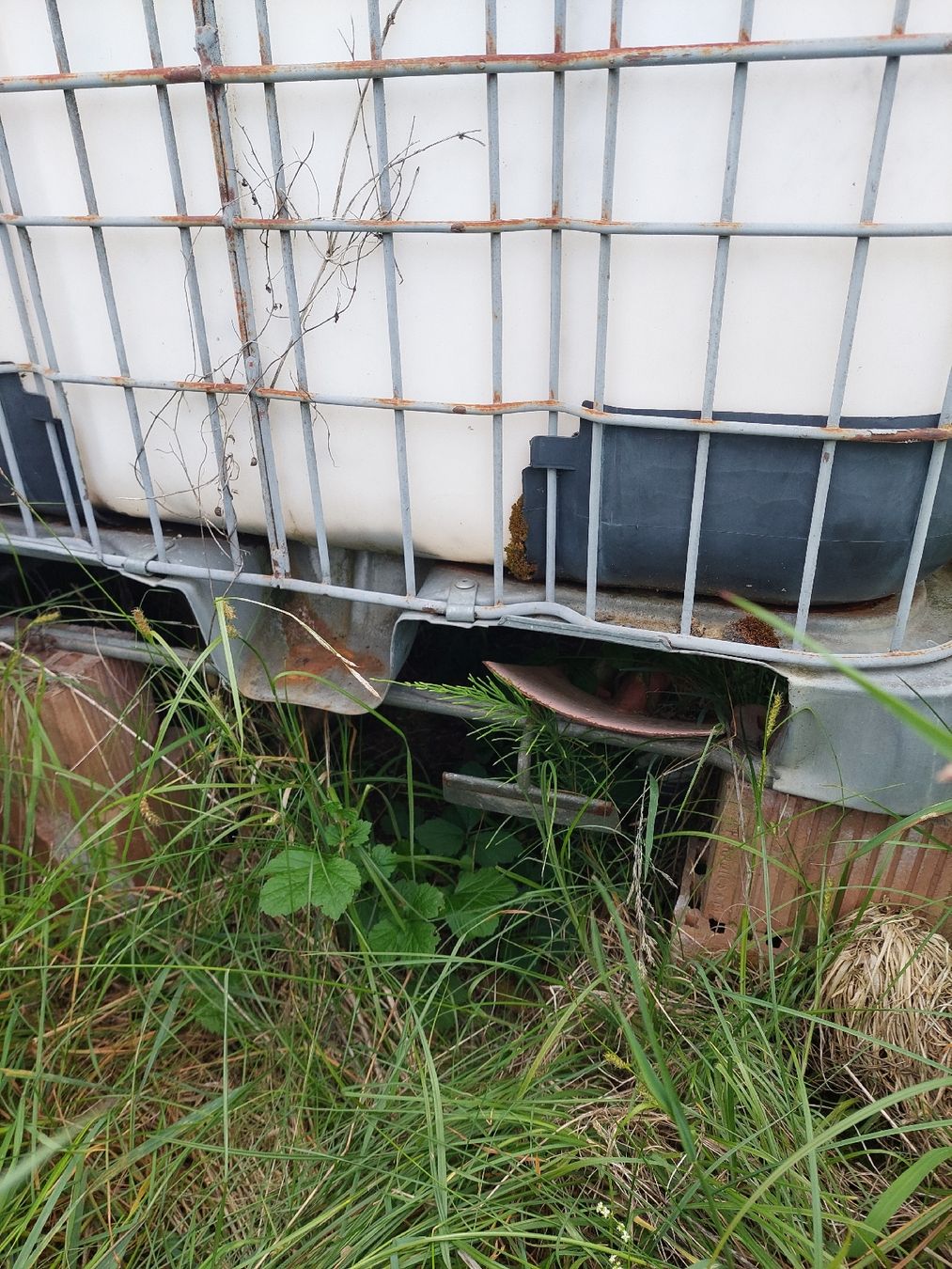 Abbeveratoi e trogoli: Regenwassertank 1000L mit Defekt – Usato da Seuzach venduto da Norcasto 5