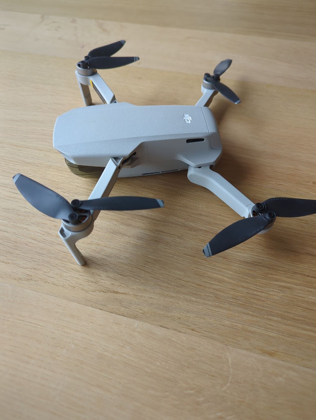 DJI Action Cam: DJI Mini + extra battery and parts – Usato da Muralto venduto da AlfredoGiu 4