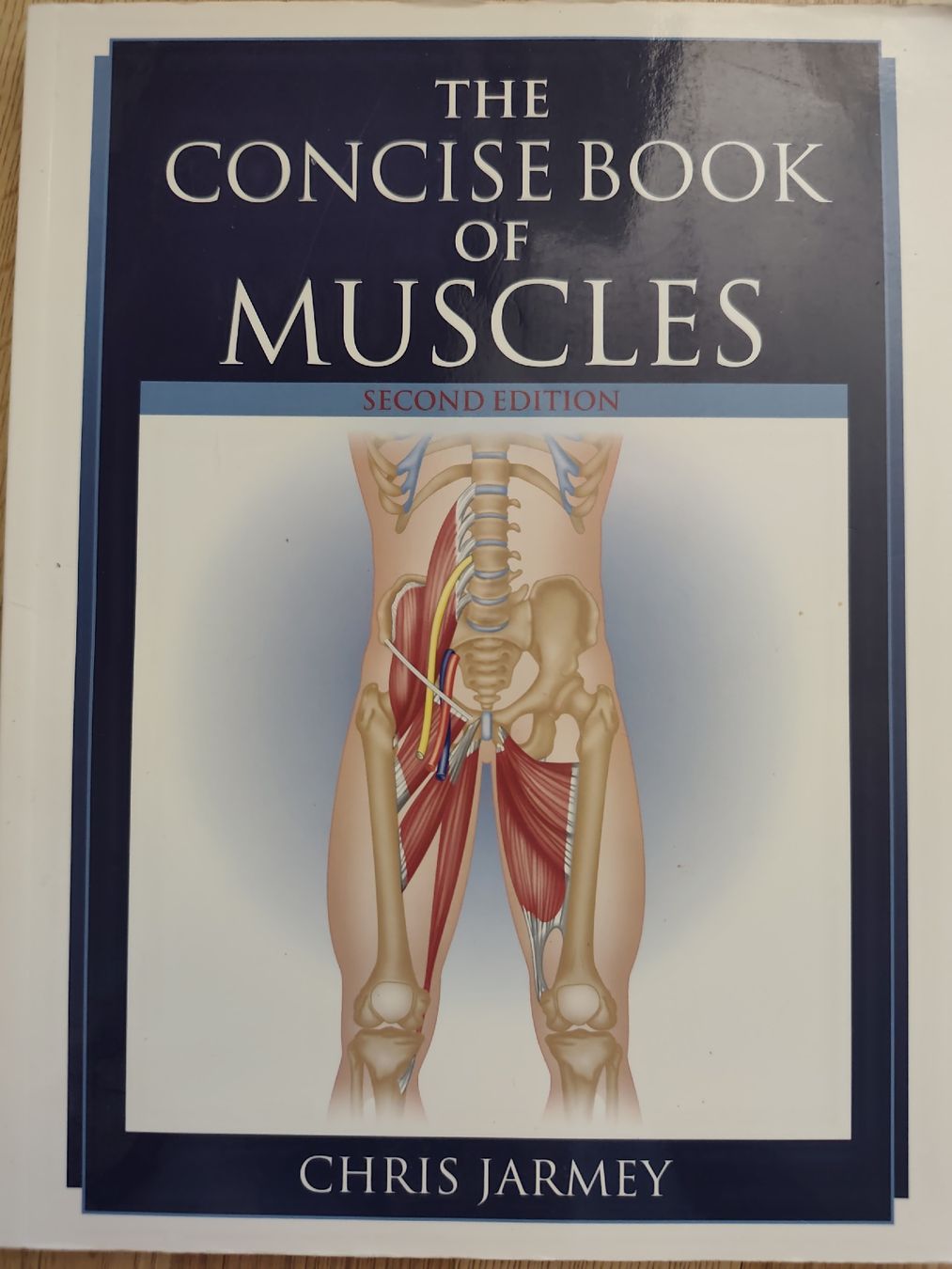 Bücher: Buch: " The concise book of Muscles" – Gebraucht aus Adliswil von Rlila