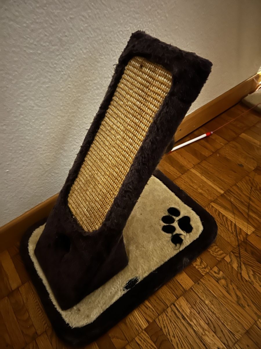 Jouets: Cat toy FREEEE!! – D'occasion à Dietlikon par Luka_Bilic