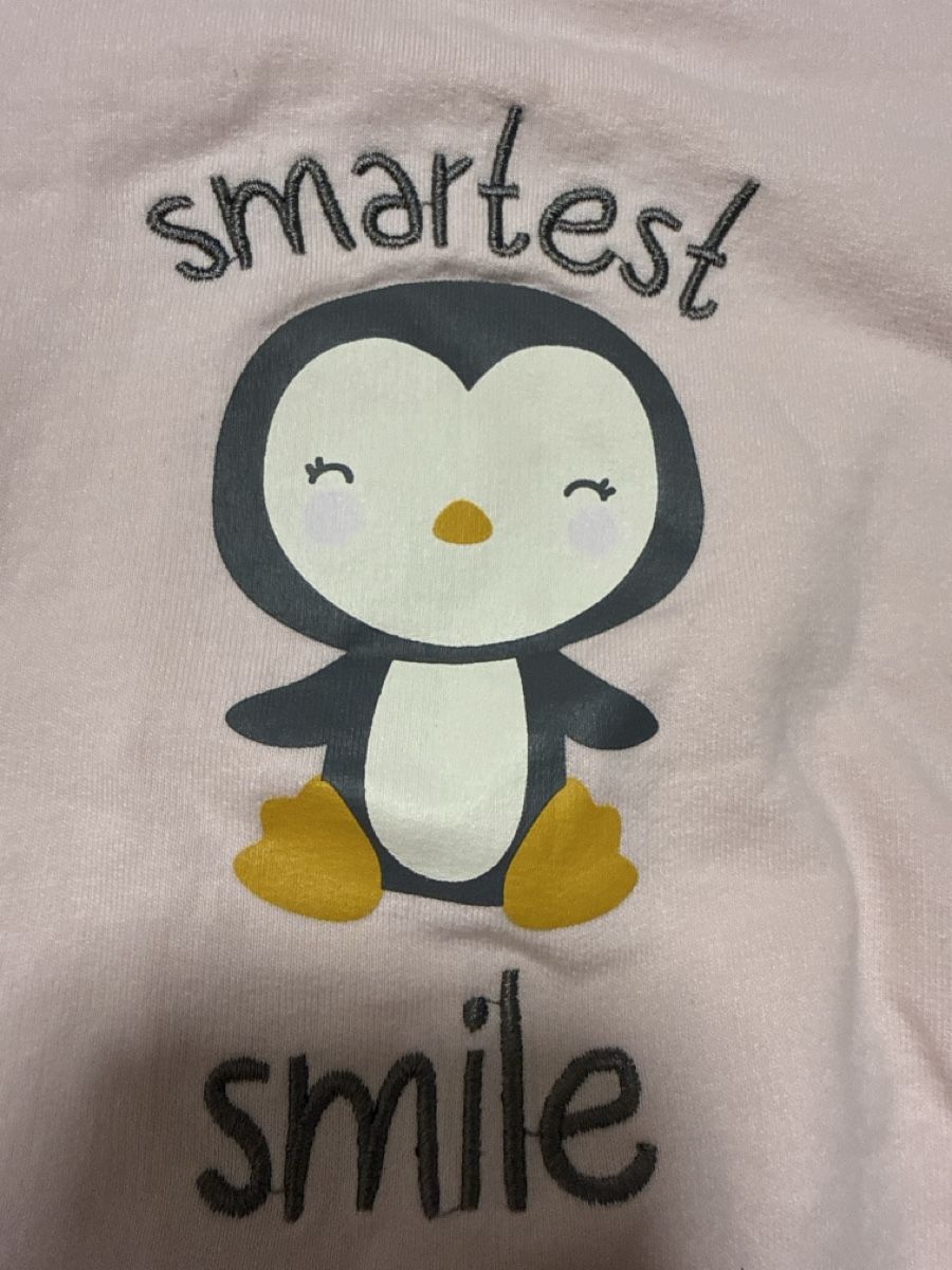 Maglioni & Felpe: Pullover rosa Motiv Pinguin Grösse 80 – Nuovo (secondo la descrizione) da Zürich venduto da Pingu333 1