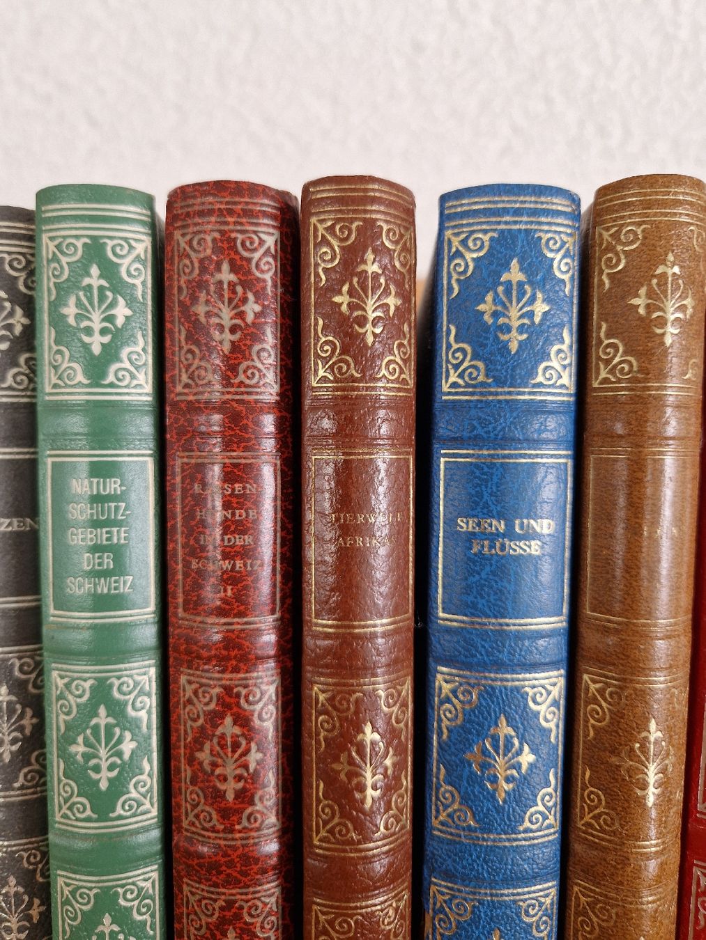 Bücher: Alte Bücher-Sammlung - Avanti Verlag – Gebraucht aus Wallisellen von soat 3