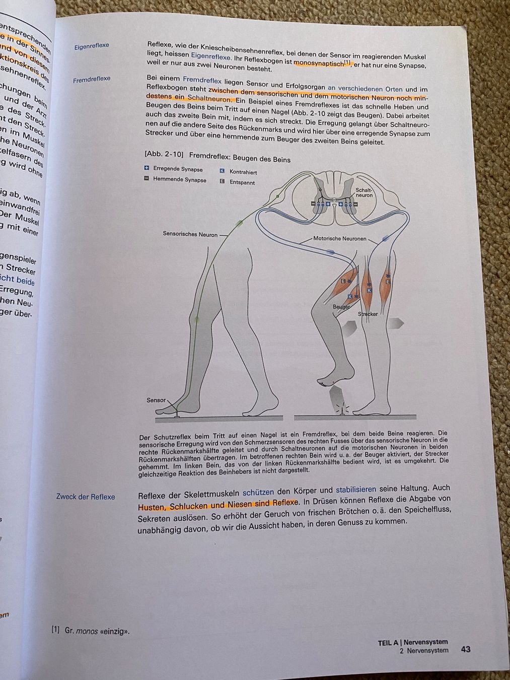 Livres: Humanbiologie 2 – D'occasion à Ebmatingen par 777_cq5g 5