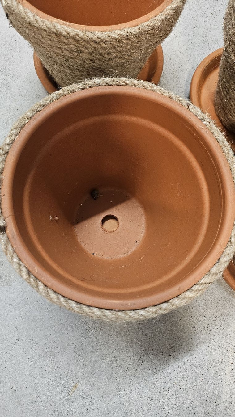 Lambert Pots de fleurs: Blumentöpfe – D'occasion à Buchs SG par Tscherfi 2