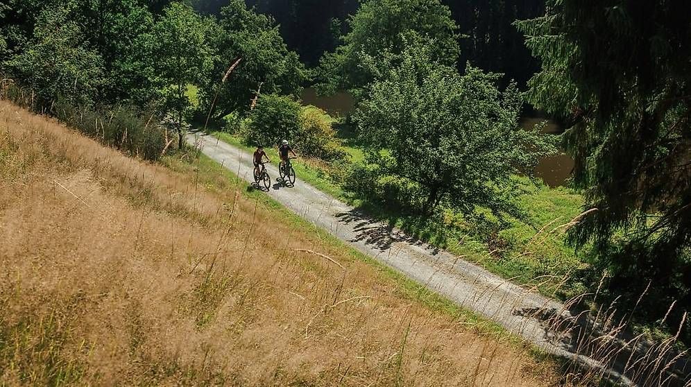 Cube Vélos: Cube Reaction Hybrid ONE 800 royalgreen´n´prism – Neuf avec emballage d'origine à Lausanne par AB-Ebikes 4