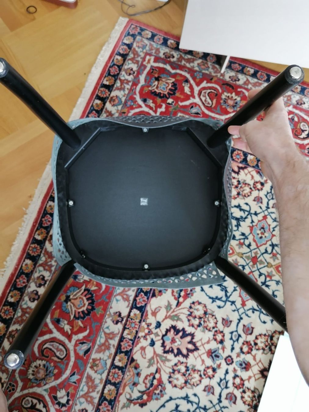 Sedie: Stühle Frag (4 Stück) – Usato da Zürich venduto da Ovo11 5