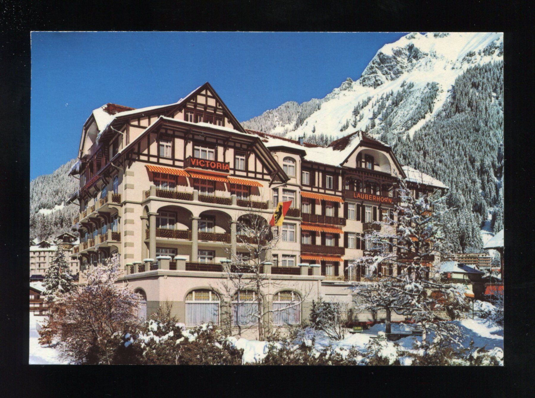 Cartoline postali: Wengen, Hotel Victoria – Usato da Aarau venduto da Elmaar41
