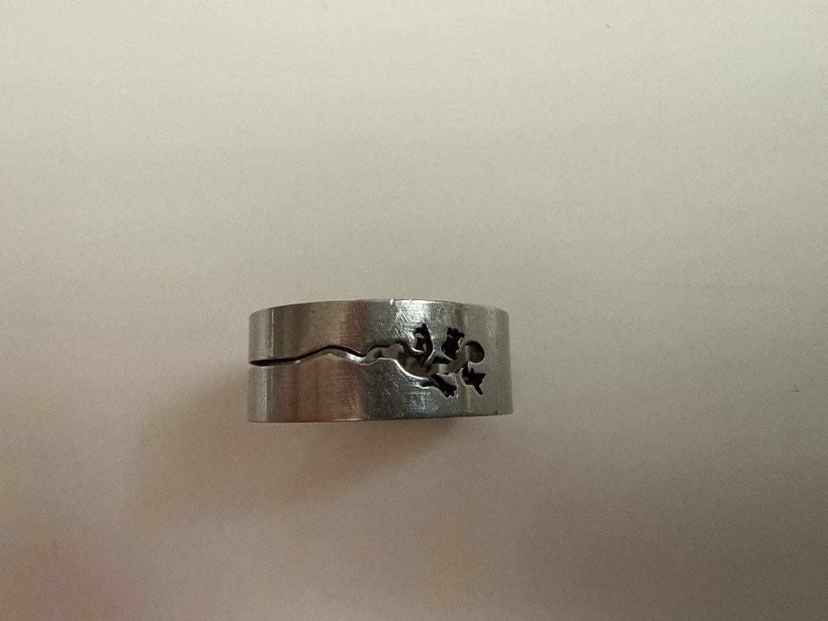 Anelli: Ring – Usato da Zweisimmen venduto da KoBo88
