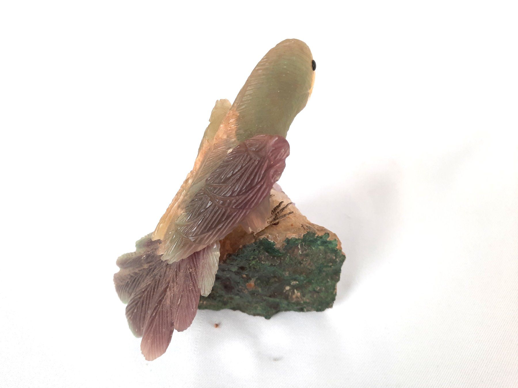 Minerali & Pietre curative: Papagei auf Amethyst-Cluster – Usato da Beinwil am See venduto da Restwert_Beinwil 7