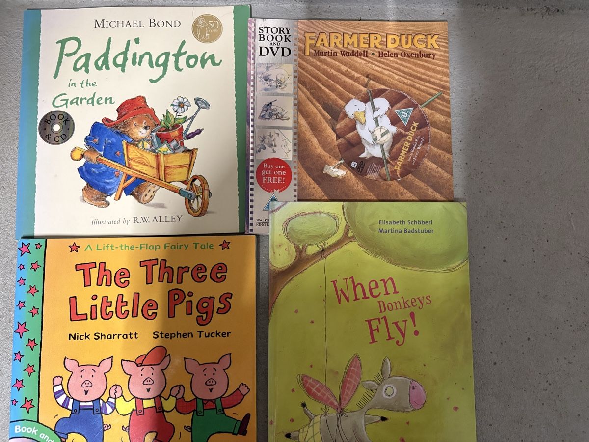 Libri: Kinderbuch Set englisch  – Usato da St. Gallen venduto da chrismotov