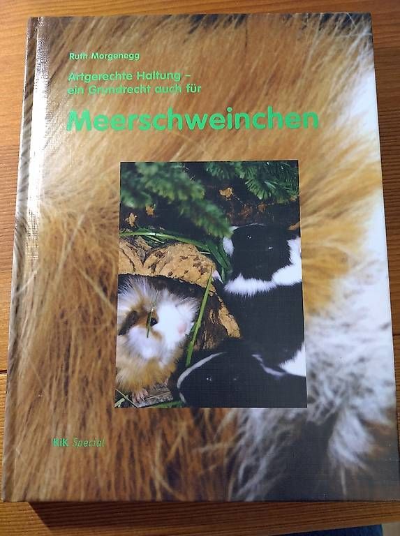 Libri: Meerschweinchen - korrekte Haltung  – Usato da Buttwil venduto da Mafu71