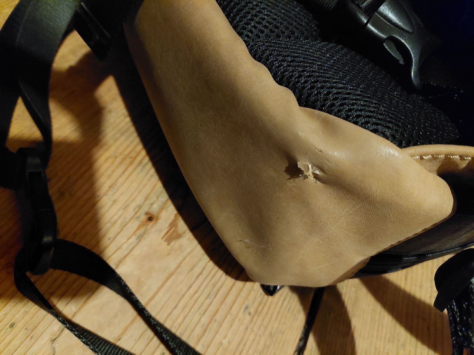 Zaini: Praktischer grosser Rucksack von Davidt's – Usato da Giswil venduto da TinaLockheart 4