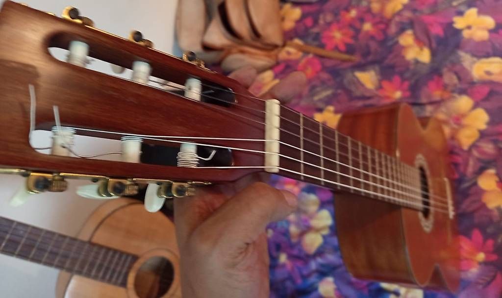Strumenti musicali: Pro Arte GC-220 M Gitarre -... – Usato da Basel venduto da Petergunn 3