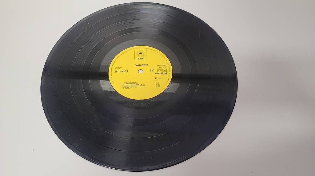 Dischi in vinile: Ted Nugent Vinyl Schallplatte – Usato da Zofingen venduto da Loop_ReSale 2