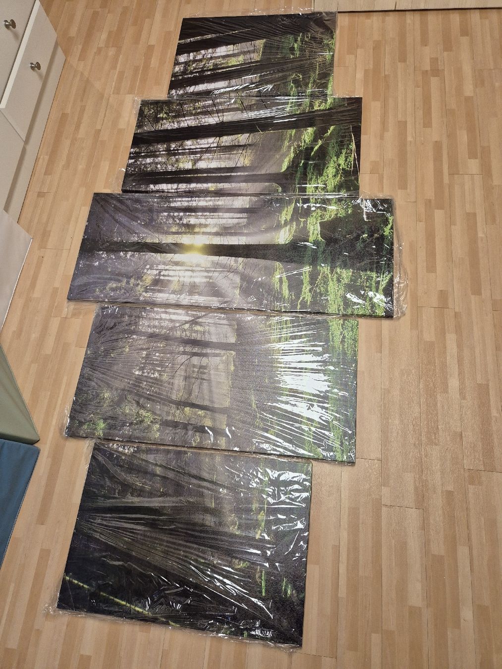 Gemälde: Leinwandbild "Wald" – Neu und originalverpackt aus Embrach von TMCHZ