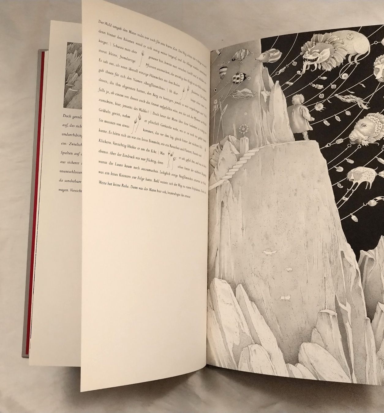 Bücher: Einar Turkowski - Der Rauhe Berg - Grosses Bilderbuch – Gebraucht aus Bellach von JingleJerry 4