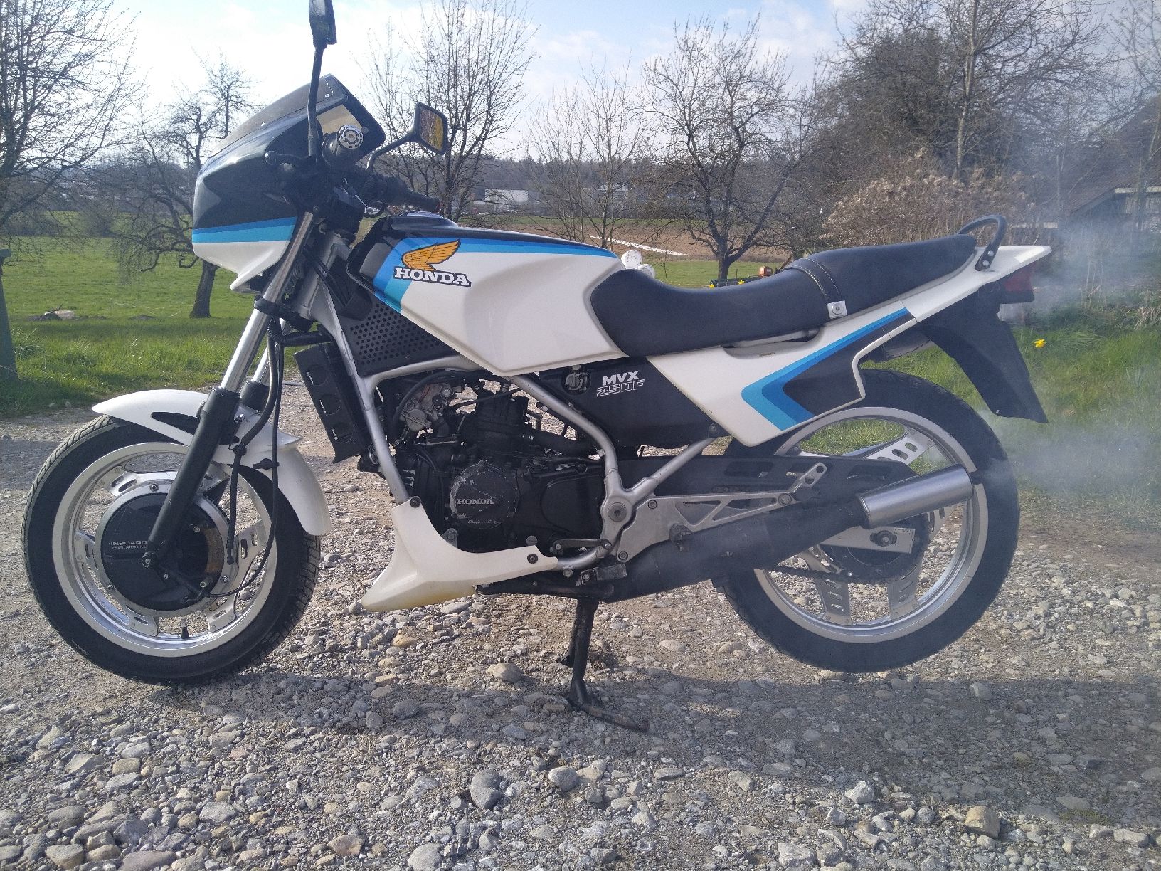 Honda Strasse: HONDA MVX 250 F RARITÄT – Gebraucht aus Bollingen von opelmantaGTE