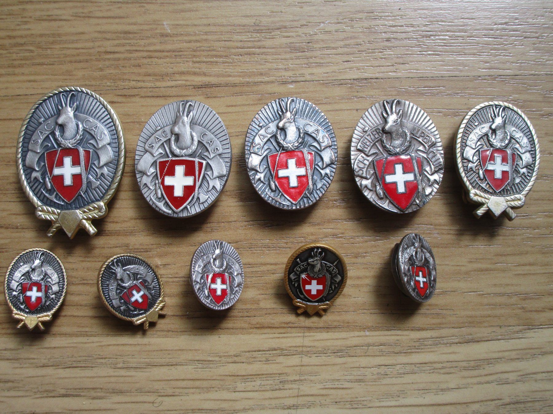 Placchette & Badge: 10 SAC Abzeichen – Usato da Heimberg venduto da Lupo57