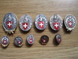 10 SAC Abzeichen