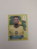 BRA 14