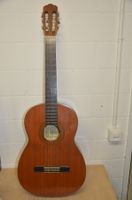 Gitarre Suzuki
