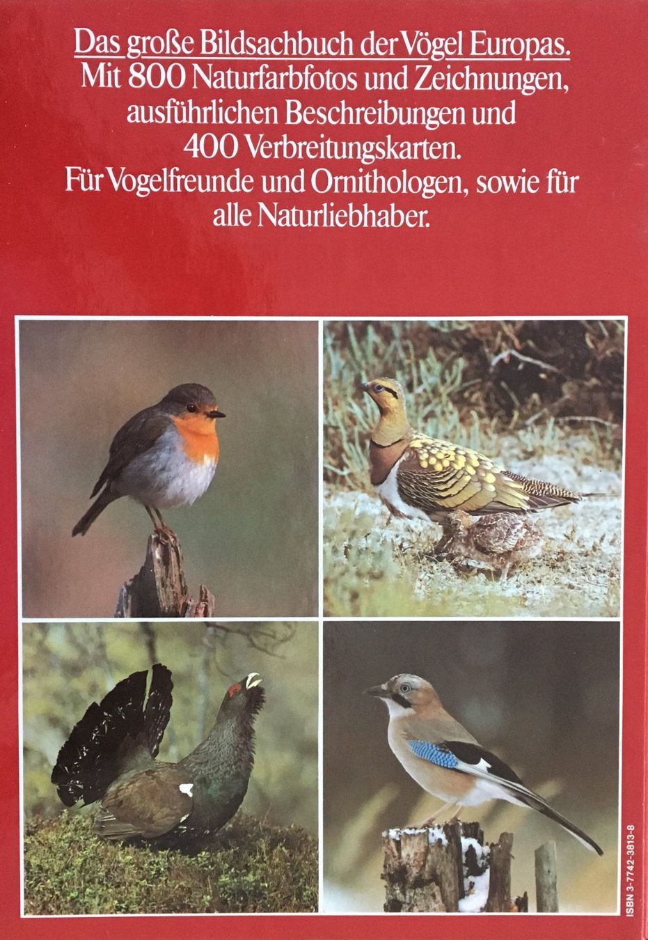 Libri: Fotoatlas der Vögel – Nuovo (secondo la descrizione) da Zürich venduto da Buechi49 4