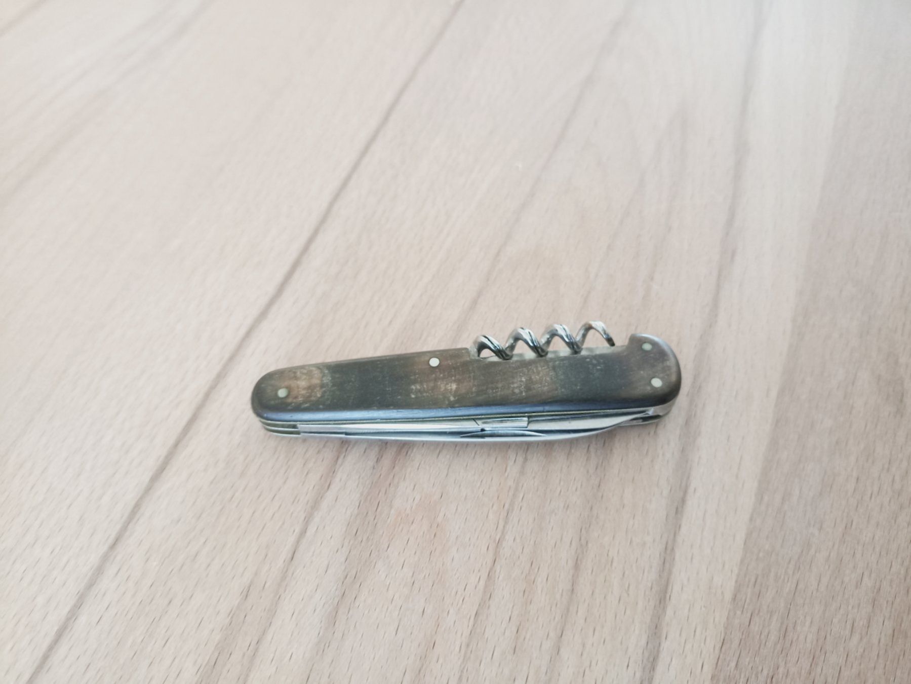 Coltelli tascabile: Seltenes Sackmesser "PROTEA" mit Horngriffe genietet. – Usato da Tuebach venduto da bac_7kpb 1