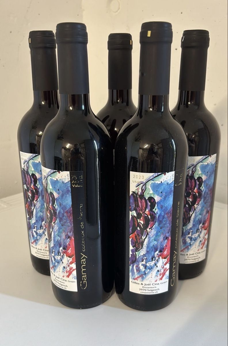 Vino: 5 Flaschen Gamay 2023 Valais 75 cl – Nuovo (secondo la descrizione) da Thun venduto da goforitfirst