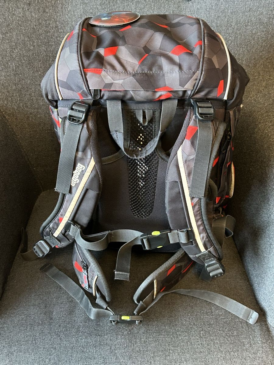 Ergobag Borse & Zaini: Ergobag Schulrucksack mit tollem Design mit Turnbeutel – Usato da Wolhusen venduto da eve_m6cg 2