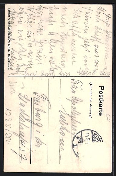 Cartoline postali: Schaffhausen, Fischerhäuser mit Munot – Usato da Berlin venduto da bartko-reher 1