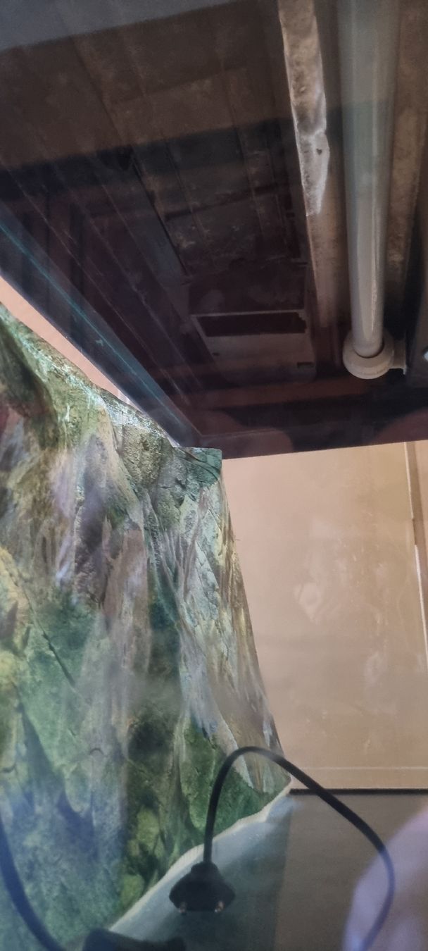 Aquarium: Aquarium meuble – Gebraucht aus Bavois von her_9899 3