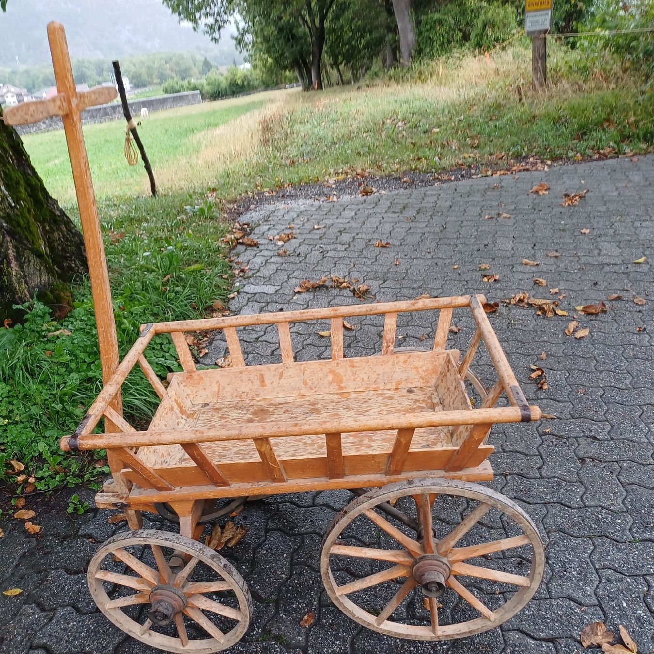 Fahrzeuge für Kinder: Leiterwagen – Gebraucht aus Trimmis von grrose 1