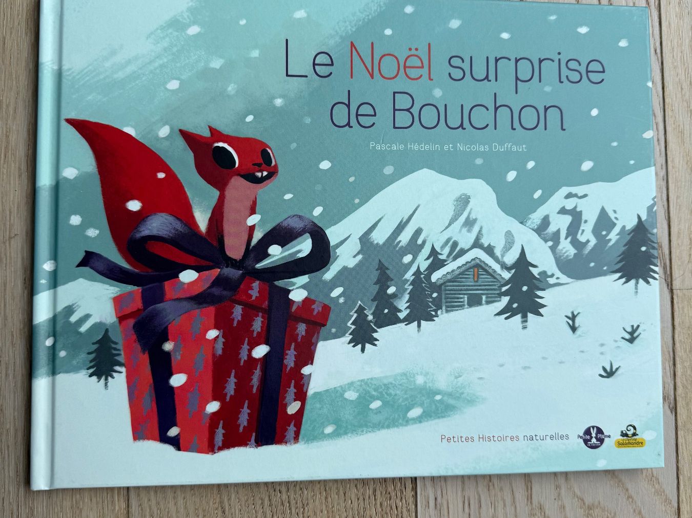 Livres: Le Noël surprise de Bouchon – D'occasion à Hirzel par Dream-Box