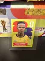 RSA 7 - Panini WM 2026