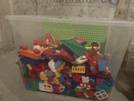 Duplo